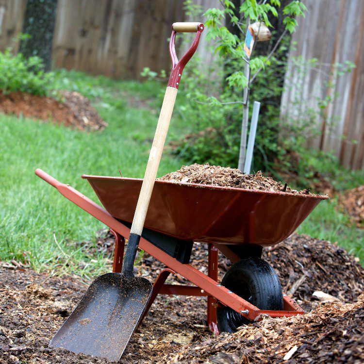 Lawn and grass services in St. Petersburg, FL Lawn and grass services in St. Petersburg, FL