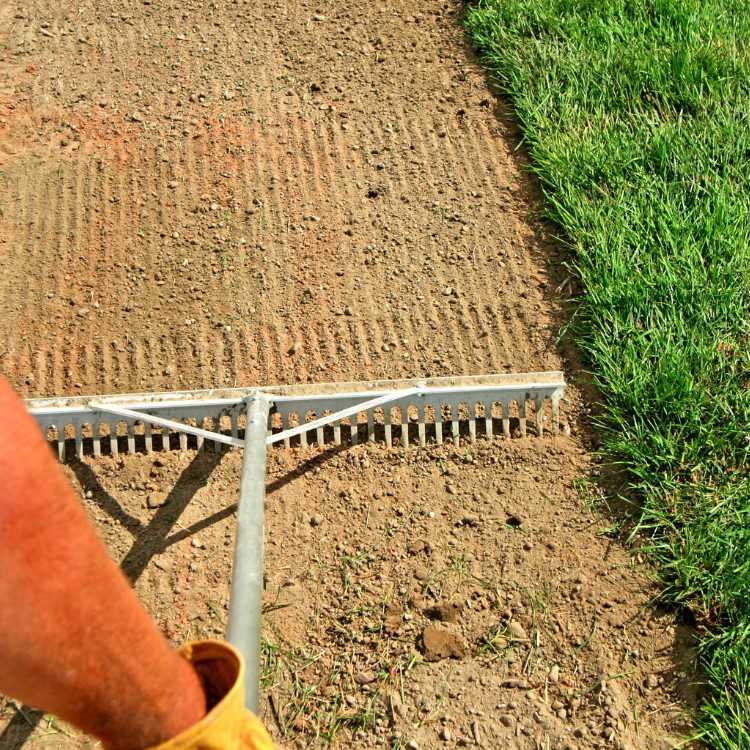 Lawn and grass services in St. Petersburg, FL Lawn and grass services in St. Petersburg, FL