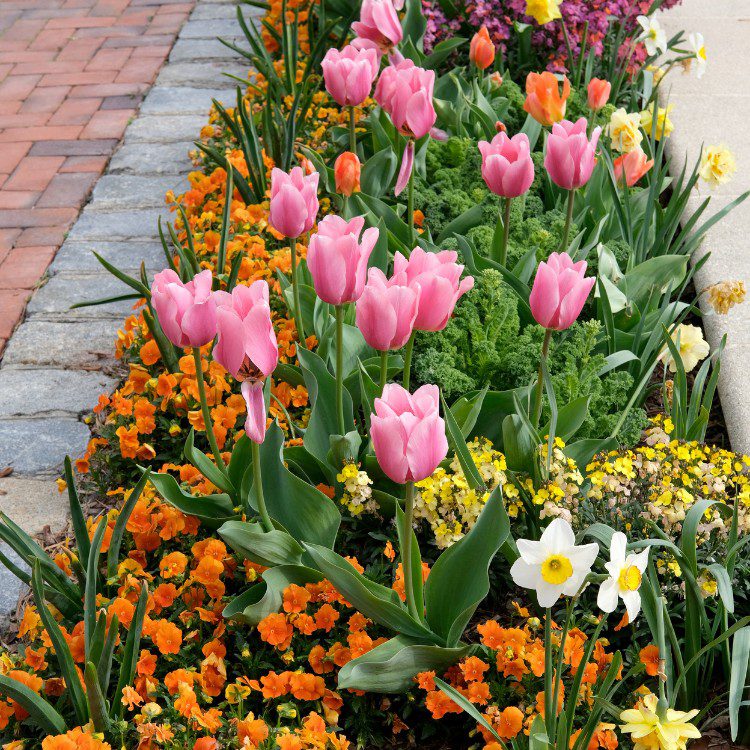 Lawn and grass services in St. Petersburg, FL Lawn and grass services in St. Petersburg, FL
