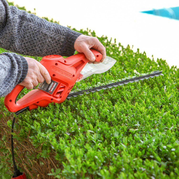 Lawn and grass services in St. Petersburg, FL